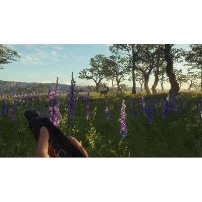 theHunter: Call of the Wild™ - Modern Rifle Pack DLC - irongamers.ru