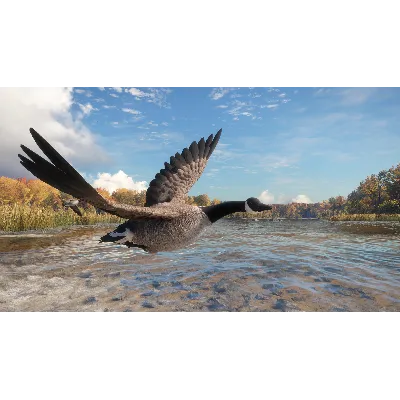 theHunter: Call of the Wild™ - Wild Goose Chase Gear - irongamers.ru