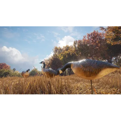 theHunter: Call of the Wild™ - Wild Goose Chase Gear - irongamers.ru