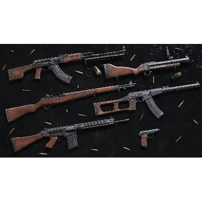 Insurgency: Sandstorm - Woodburn Weapon Skin Set DLC AUTODELIVERY STEAM РОССИЯ - irongamers.ru