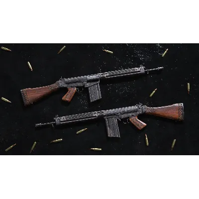 Insurgency: Sandstorm - Woodburn Weapon Skin Set DLC AUTODELIVERY STEAM РОССИЯ - irongamers.ru