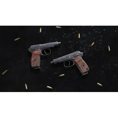 Insurgency: Sandstorm - Woodburn Weapon Skin Set DLC AUTODELIVERY STEAM РОССИЯ - irongamers.ru