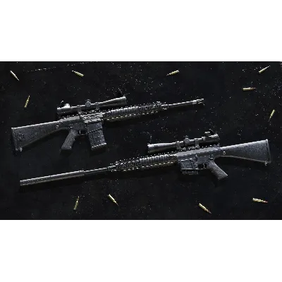 Insurgency: Sandstorm - Black Powder Weapon Skin Set - irongamers.ru