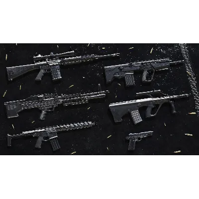 Insurgency: Sandstorm - Black Powder Weapon Skin Set - irongamers.ru