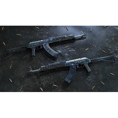 Insurgency: Sandstorm - Chrome Weapon Skin Set DLC - irongamers.ru