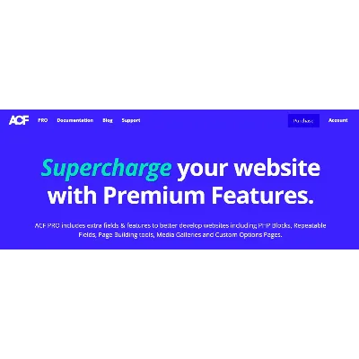 Advanced Custom Fields Pro [6.2.4] Русификация плагина - irongamers.ru