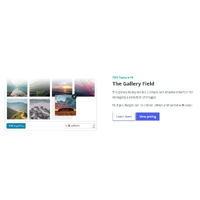 Advanced Custom Fields Pro [6.2.4] Русификация плагина - irongamers.ru