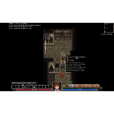 Dungeons of Dredmor АВТОДОСТАВКА STEAM GLOBAL МГНОВЕННО ЛИЦЕНЗИЯ - irongamers.ru