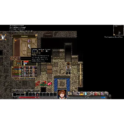 Dungeons of Dredmor АВТОДОСТАВКА STEAM GLOBAL МГНОВЕННО ЛИЦЕНЗИЯ - irongamers.ru