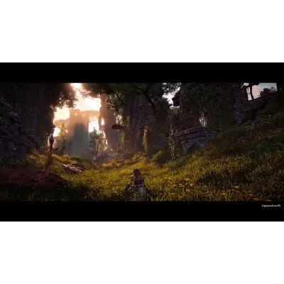 Horizon Zero Dawn Complete Edition | АВТОВЫДАЧА 24/7 - irongamers.ru