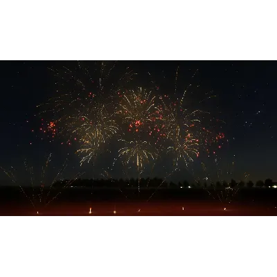 FWsim - Fireworks Display Simulator * STEAM RU - irongamers.ru