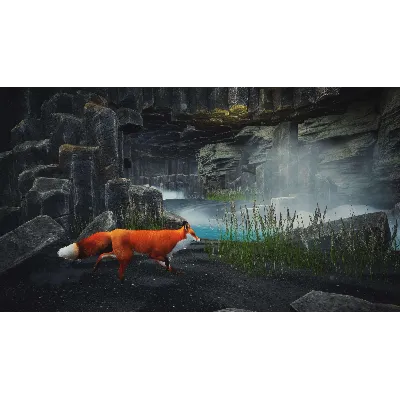 SPIRIT OF THE NORTH: ENHANCED EDITION XBOX|XS КЛЮЧ - irongamers.ru