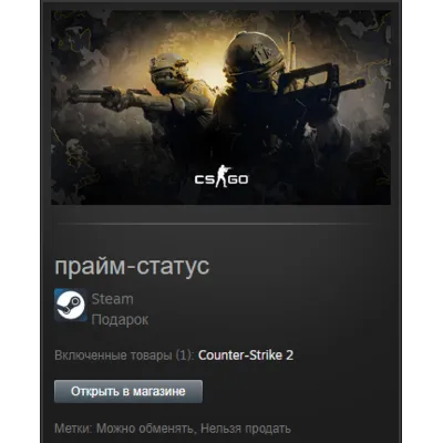 Counter-Strike 2 Prime Status Upgrade STEAM Gift Global + RUSSIA - irongamers.ru