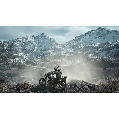 Days Gone - Steam Оффлайн - irongamers.ru