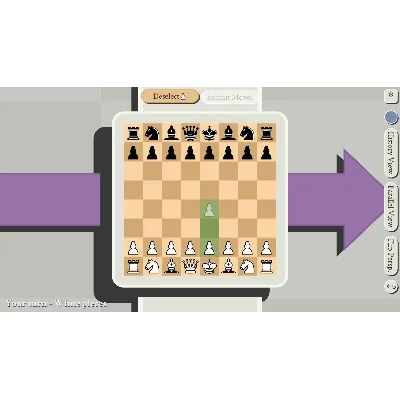 5D Chess With Multiverse Time Travel * STEAM RU - irongamers.ru