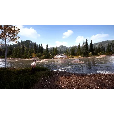 HUNTING SIMULATOR 2 - BEAR HUNTER XBOX ONE КЛЮЧ - irongamers.ru