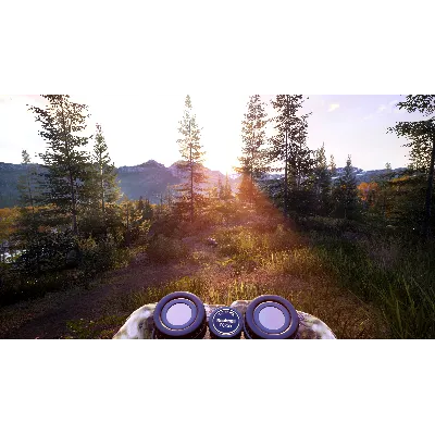 HUNTING SIMULATOR 2 - BEAR HUNTER XBOX SERIES КЛЮЧ - irongamers.ru