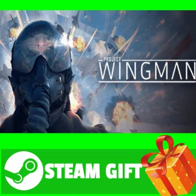 ⭐ ВСЕ СТРАНЫ+РОССИЯ⭐ Project Wingman Steam Gift - irongamers.ru