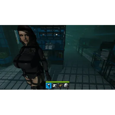 Haydee 2 * STEAM РОССИЯ АВТОДОСТАВКА - irongamers.ru