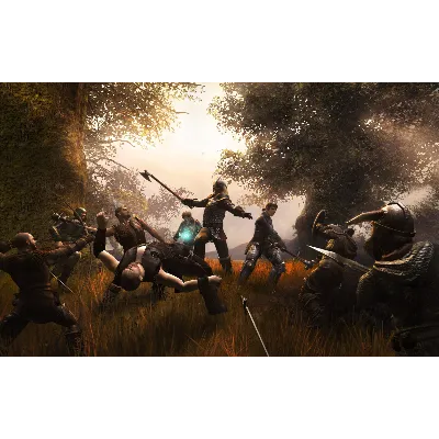 Drakensang The River of Time * STEAM АВТОДОСТАВКА - irongamers.ru