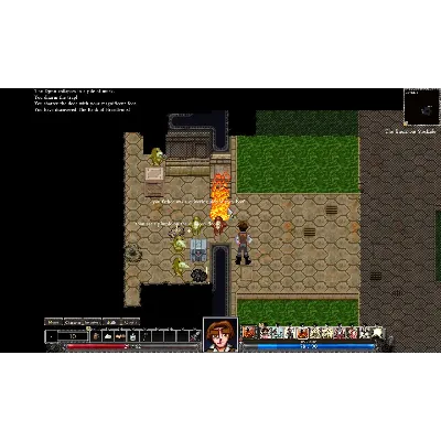 Dungeons of Dredmor (Steam Gift Россия) - irongamers.ru