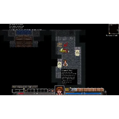 Dungeons of Dredmor (Steam Gift Россия) - irongamers.ru