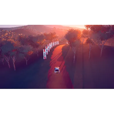 art of rally: australia DLC * STEAM АВТОДОСТАВКА - irongamers.ru