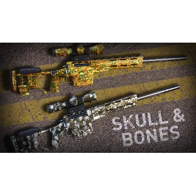 Sniper Ghost Warrior Contracts 2 - Skull & Bones Skin (Steam Gift RU) - irongamers.ru
