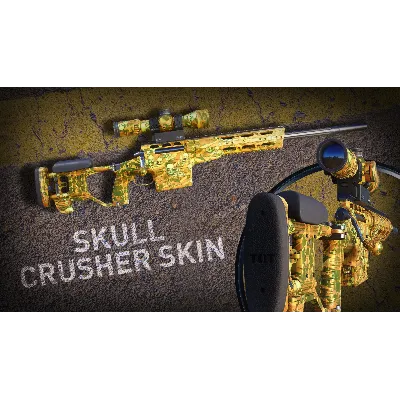 Sniper Ghost Warrior Contracts 2 - Skull & Bones Skin (Steam Gift RU) - irongamers.ru