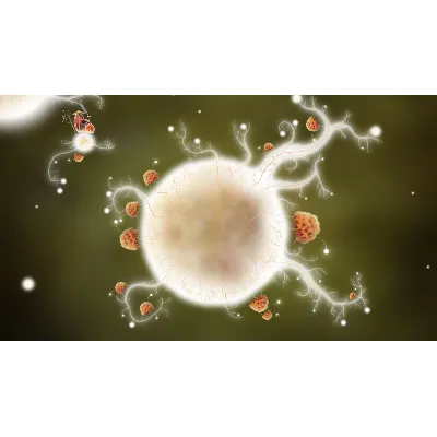 Botanicula * STEAM РОССИЯ АВТОДОСТАВКА - irongamers.ru