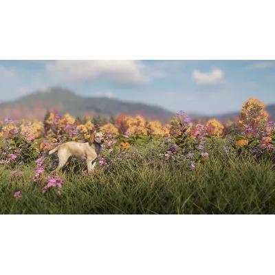theHunter: Call of the Wild™ - Labrador Retriever DLC - irongamers.ru