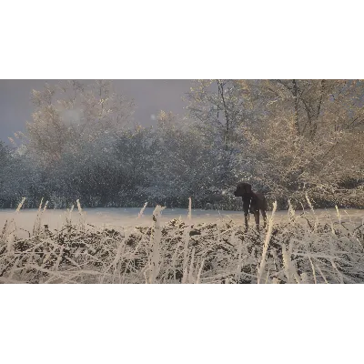 theHunter: Call of the Wild™ - Labrador Retriever DLC - irongamers.ru