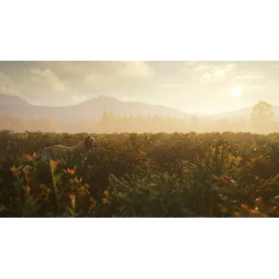 theHunter: Call of the Wild™ - Labrador Retriever DLC - irongamers.ru