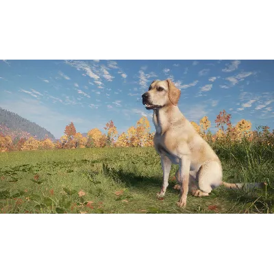 theHunter: Call of the Wild™ - Labrador Retriever DLC - irongamers.ru