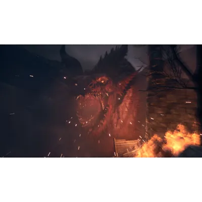 Dragon&acute;s Dogma 2 | АВТОДОСТАВКА [Россия Steam Gift] - irongamers.ru