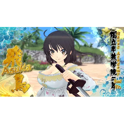 SENRAN KAGURA ESTIVAL VERSUS - Splash Pack DLC - irongamers.ru