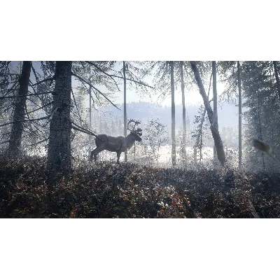 THEHUNTER: CALL OF THE WILD - MASTER BUNDLE XBOX КЛЮЧ - irongamers.ru