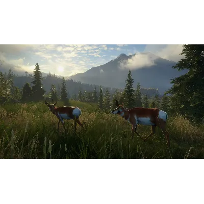 THEHUNTER: CALL OF THE WILD - MASTER BUNDLE XBOX КЛЮЧ - irongamers.ru