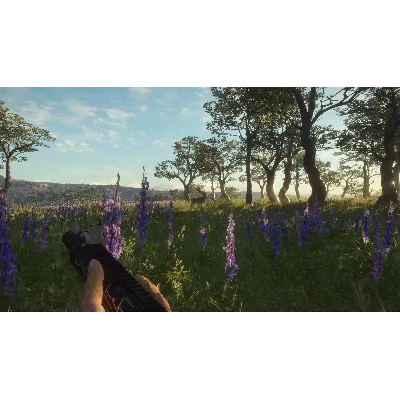 THEHUNTER CALL OF THE WILD - MODERN RIFLE PACK XBOX - irongamers.ru