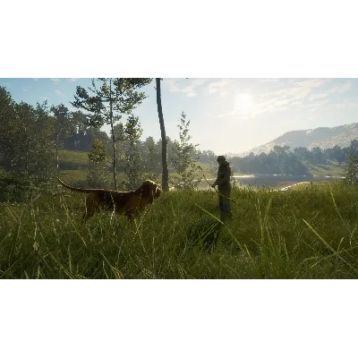 THEHUNTER: CALL OF THE WILD - BLOODHOUND XBOX КЛЮЧ - irongamers.ru