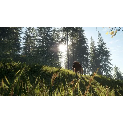 THEHUNTER: CALL OF THE WILD - BLOODHOUND XBOX КЛЮЧ - irongamers.ru