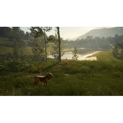 THEHUNTER: CALL OF THE WILD - BLOODHOUND XBOX КЛЮЧ - irongamers.ru