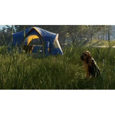 THEHUNTER: CALL OF THE WILD - BLOODHOUND XBOX КЛЮЧ - irongamers.ru