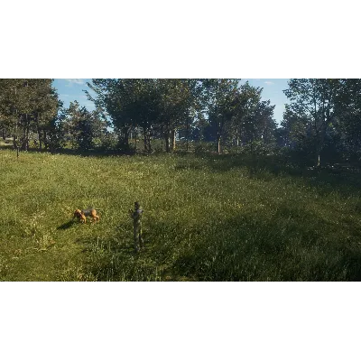 THEHUNTER: CALL OF THE WILD - BLOODHOUND XBOX КЛЮЧ - irongamers.ru