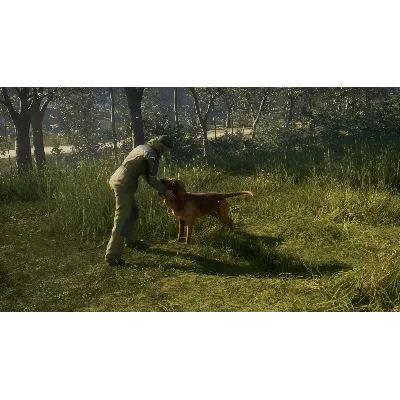 THEHUNTER: CALL OF THE WILD - BLOODHOUND XBOX КЛЮЧ - irongamers.ru
