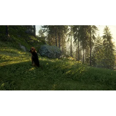 THEHUNTER: CALL OF THE WILD - BLOODHOUND XBOX КЛЮЧ - irongamers.ru