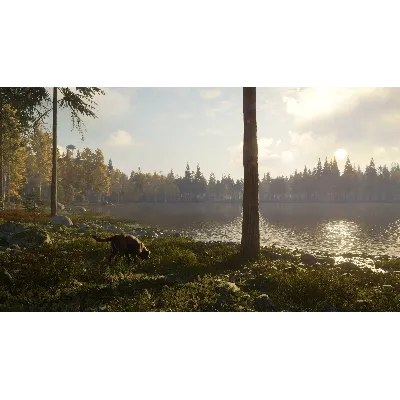 THEHUNTER: CALL OF THE WILD - LABRADOR RETRIEVER XBOX - irongamers.ru