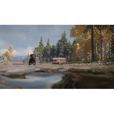 THEHUNTER: CALL OF THE WILD - LABRADOR RETRIEVER XBOX - irongamers.ru