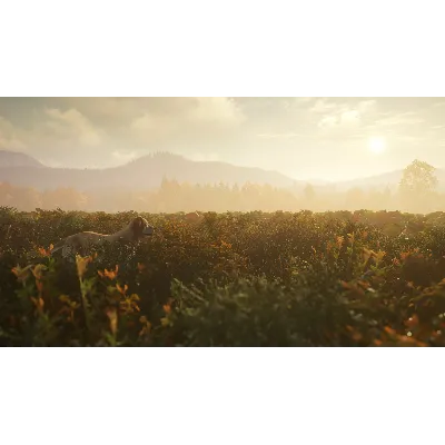 THEHUNTER: CALL OF THE WILD - LABRADOR RETRIEVER XBOX - irongamers.ru