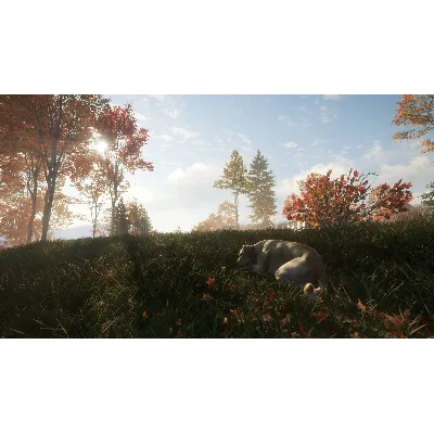 THEHUNTER: CALL OF THE WILD - LABRADOR RETRIEVER XBOX - irongamers.ru